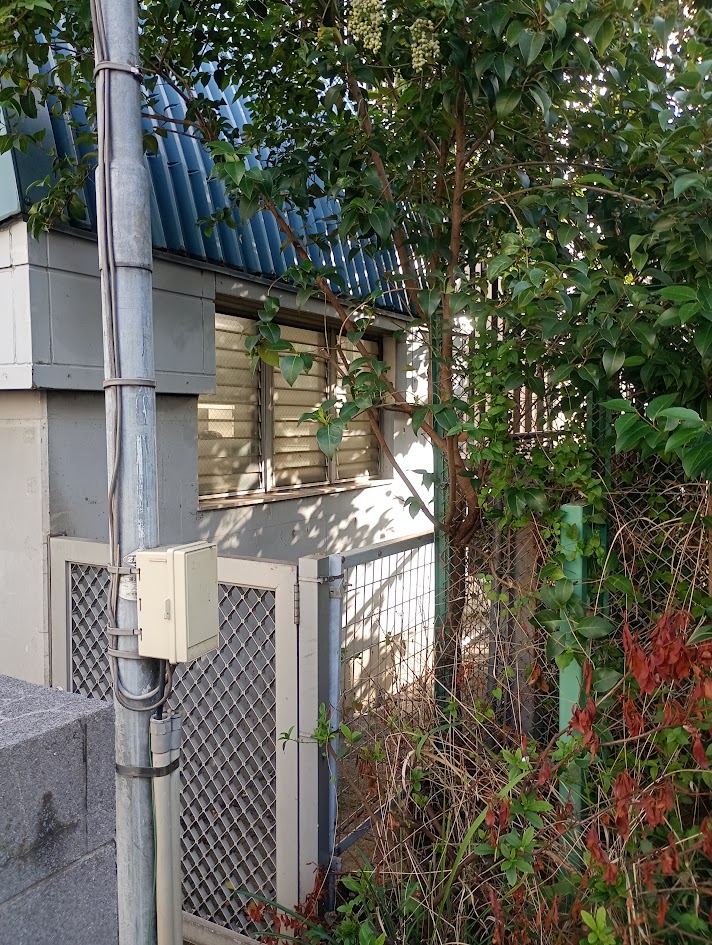 AIは望遠鏡か、それとも鏡か