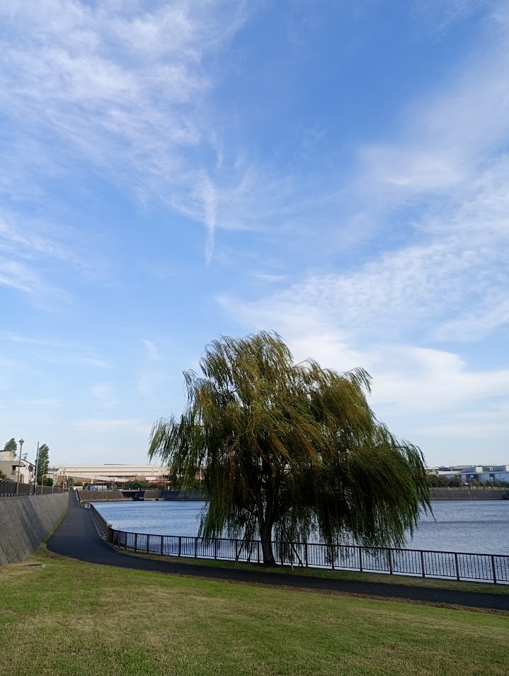 「信用料100万円」が悪なのか？ブラックボックスを数学で殺す話